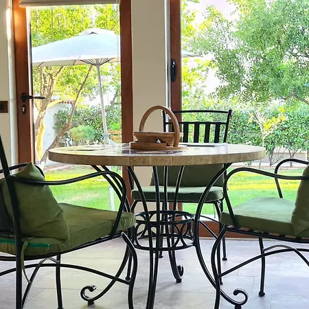 Aerodrom 포드고리차