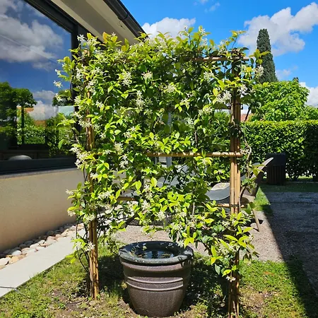 アパート Aerodrom *