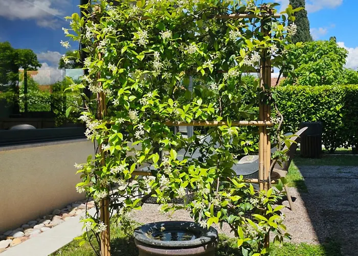 아파트 Aerodrom *